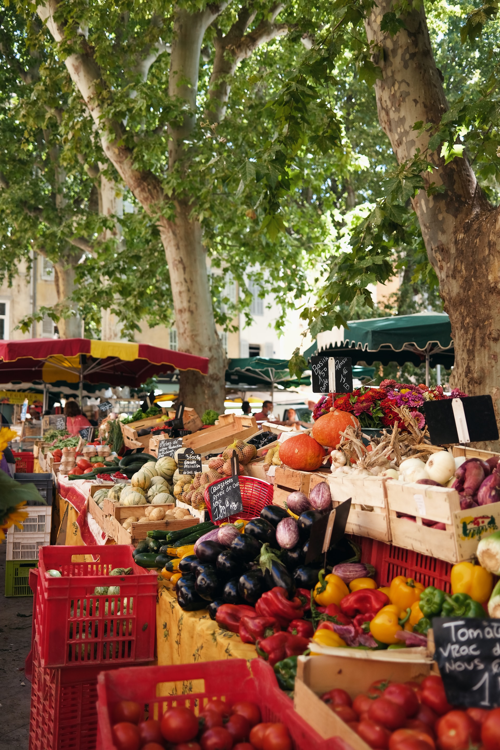 A food market, outside. Photo by https://unsplash.com/@mackiec